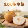 Pera Fengshui de Shandong, envío directo 1.5 kg Redonda, de piel fina, jugosa, dulce y clara, fruta fresca de temporada directamente del huerto