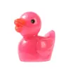 Pato amarelo pequeno Cor Acessórios para paisagismo com musgo DIY Mini paisagem micro Ornamentos em miniatura