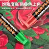 Marcadores Acrílicos de Gran Capacidad de 15 mm Que Se Pueden Superponer para Pintura Mural Graffiti, Bolígrafos Acrílicos Grandes Resistentes al Desvanecimiento y al Agua