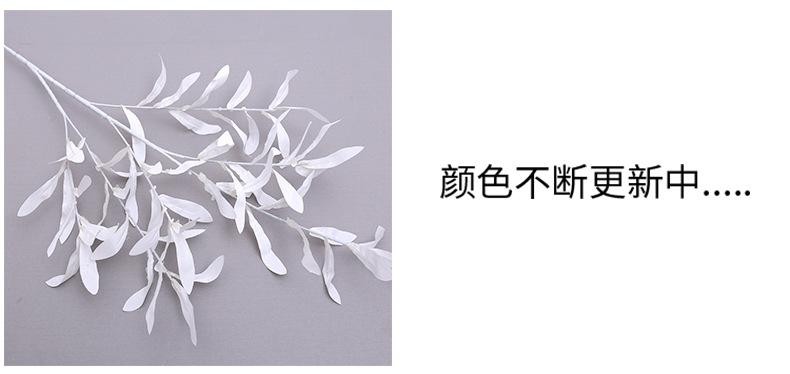 橄榄枝_05.jpg