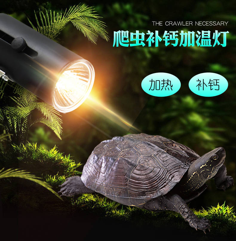 详情页2.jpg