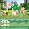Cenário de Atmosfera de Primavera Montagem Decoração Atividades Passeio de Primavera Construção de Equipe Fundo para Fotos ao Ar Livre Painel de Exibição Kt