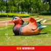 Escultura de Pájaro Simulada Cresta de Águila Ibis Rojo Faisán Rojo Modelo de Fibra de Vidrio Adorno de Paisaje para Jardín de Humedales al Aire Libre