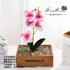 Nueva película de impresión 3D con fruta, 5 flores, orquídea mariposa, suministro directo de fábrica, planta, decoración de interiores, flores falsas