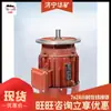 Motor asíncrono trifásico de rotor cónico a prueba de explosiones Motor asíncrono trifásico de rotor cónico de bajo consumo energético
