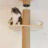 Hamaca cápsula espacial para gatos Marco de escalada para gatos Maine Accesorios de material DIY Juguete cápsula espacial para el maestro gato Madera maciza Hogar