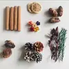 Decorações de Natal Flores Secas, Frutas Secas, Pinhas, Lascas de Madeira, Folhas, Conjunto Combinado de Flores Secas e Frutas Secas, Adereços Fotográficos Retrô