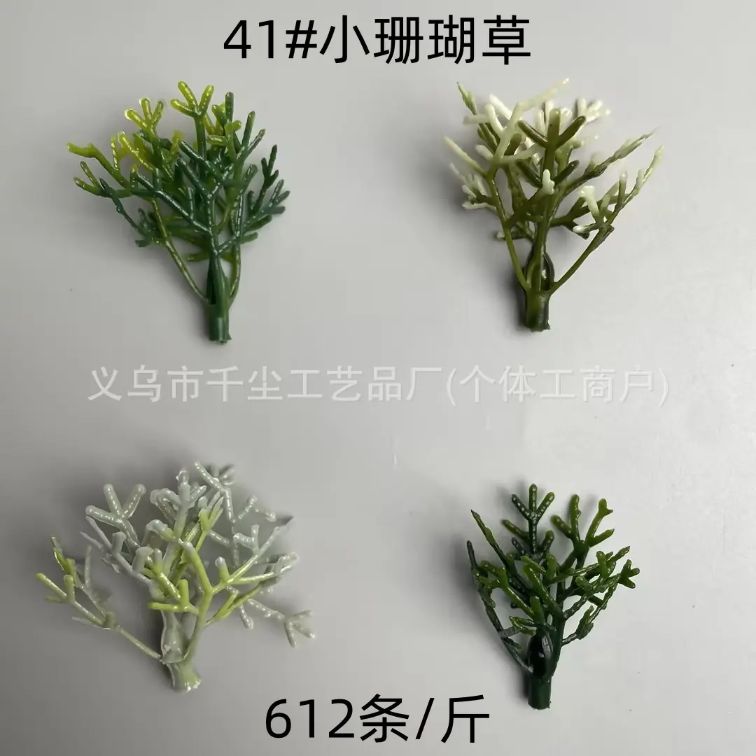 41#小珊瑚草.jpg