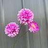 3 cabeças fragrância escura casamento flor artificial flor artificial aniversário crisântemo casamento decoração de estrada floral decoração suave decoração de casa arranjo de flores