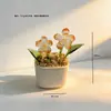 Enfeites de Vidro Zibo, Plantas Suculentas em Vasos, Plantas Verdes de Vidro, Presentes de Flores de Dezembro, Artesanato para Decoração de Escritório