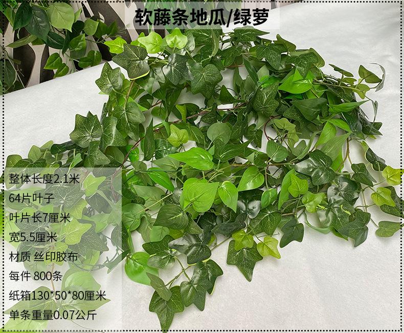 产品信息图-1.jpg