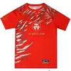Ufc Lucha Boxeo Conjunto de Dos Piezas para Hombre Deportivo Shorts de Lucha Mma Ropa de Entrenamiento Secado Rápido Ropa de Manga Corta Venta al Por Mayor