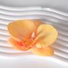 Pétalas da cabeça da flor Phalaenopsis acessórios de flor material de flor grampo de cabelo feito à mão diy decoração de adereço de cabeça material de flor