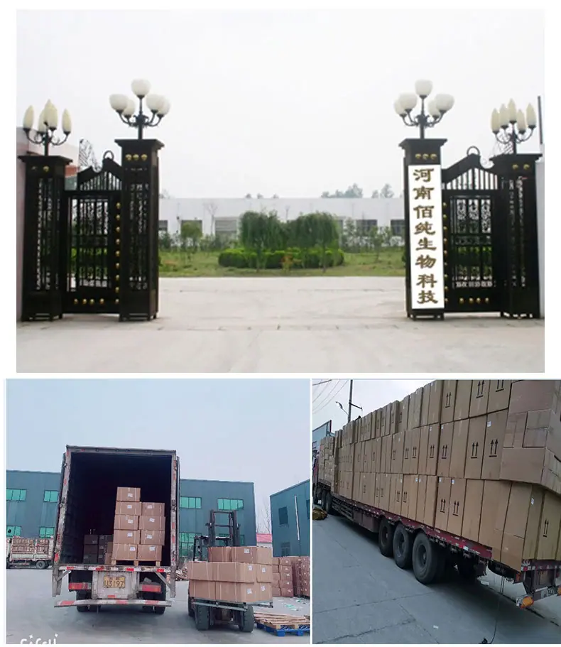 跑蜂器_07.jpg