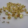 Gran Suministro de Agujas de Acupuntura de Titanio, Agujas de Acupuntura de Cabeza Pequeña, Tapas de Hebilla de Mariposa de Propósito Especial