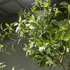 Planta Artificial en Maceta, Planta de Paisaje de Interior, Bonsái Artificial de Palo de Caballo, Árbol Falso, Planta Campana, Estilo Fresco