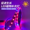 Tira de luz LED 5050 para cultivo de flores y vegetales, 12 V, resistente al agua, 60 luces, suave, 5 luces rojas y 1 azul para crecimiento de plantas.