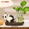 Decoração de Casa Estilo Chinês Panda Rabanete Verde Vaso Hidropônico Arranjo de Flores Vidraria Decoração de Mesa Vaso de Planta Presente