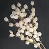 Linterna de fruta de carambola de simulación, fotografía de bodas, suministros de flores falsas, flores de simulación al por mayor, una generación de cabello