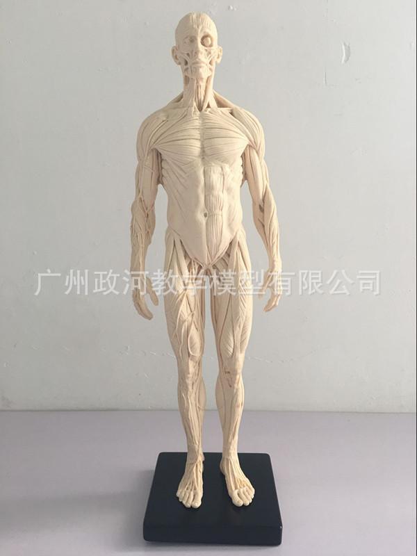 QQ图片20180825155241