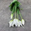 Buquê Simulados Amarrados à Mão com Boca Pontuda, Buquê de Tulipas de Silicone Macio Sorridente, Decoração de Flores de Tulipa de Silicone de Látex