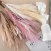 Venta de Liquidación al 90% de descuento: Ramo de Hierba de la Pampa Artificial, Flores Falsas, Plantas Verdes al por Mayor, Manualidades para Decoración de Bodas