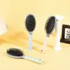 Escova Massageadora Fofa Transfronteiriça, Escova Grande Curva, Escova Modeladora para Mulheres, Escova com Almofada de Ar, Styling Masculino, Cuidados com os Cabelos em Casa