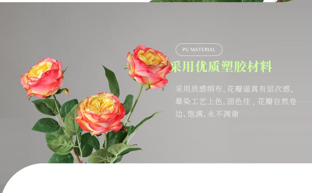 奥斯汀玫瑰单枝_07.jpg