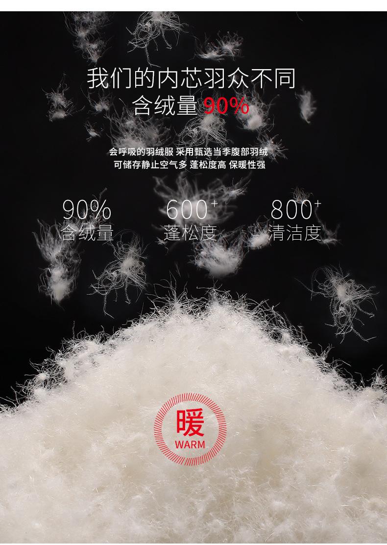 YE2B623036M_03.jpg