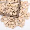 Material de chocalho de casca de fruta natural Componentes de acessórios para bonecas de casca de fruta semiacabadas feitas à mão DIY Matérias-primas para sinos de vento de cura