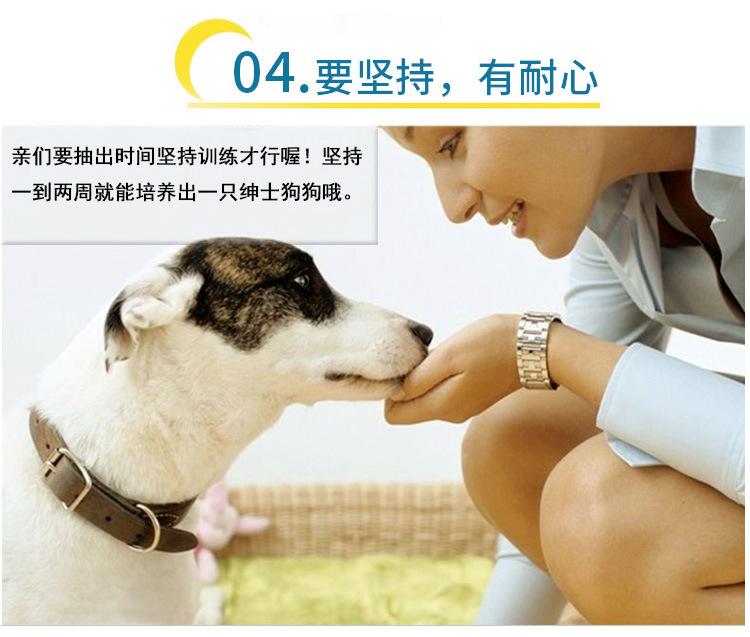 美今幼犬训导剂_09