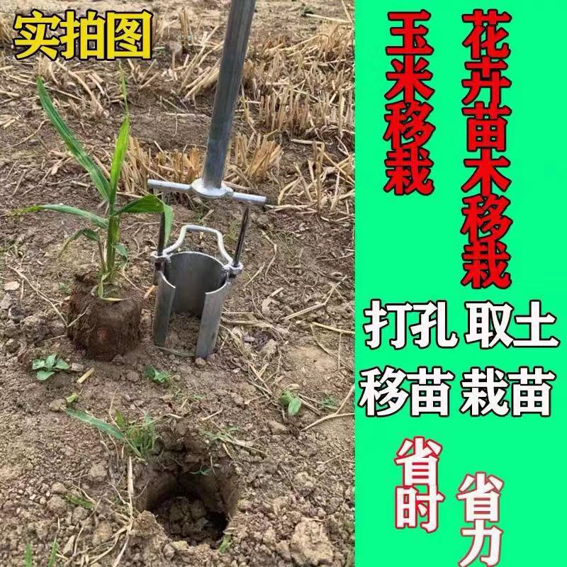 89593ff62a7768fc6ad58f0e5056cb
