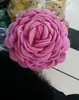 Cabelo Vermelho Rosa Coça Costas da Cabeça Grampo Elegante Ins Blogger Celebridade da Internet Novo Presilha Tubarão