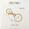 En Stock Llavero de Metal Cierre de Langosta Juego de Tres Piezas Cadena de Ocho Figura Cuatro Secciones Chapado que Conserva el Color Joyería DIY Cierre de Resorte Cierre para Perro