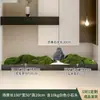 Combinación de plantas verdes artificiales tira larga paisajismo rincón de entrada interior jardinera adorno de planta centro comercial ventana musgo ornamental
