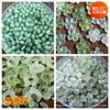 Cuentas Sueltas de Jade Colgante de Cuenta Xiuyu Accesorios Pequeños Hechos a Mano Fabricante Procesamiento al por Mayor Adornos Personalizados Pulsera Regalos