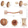 Set de 6/7 Amazon Juguete de Madera Explosivo de Hámster Hámster Conejo Loro Suministros de Moldeo Set Combinado