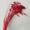 Flores Eternas en Tonos Rojos, Decoraciones de Año Nuevo, Kits de Material para Ramos, Decoración para el Hogar con Ambiente, Arreglos de Boda, Accesorios de Fuegos Artificiales y Decoraciones de Conjunto