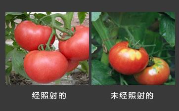 补光
