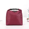 Bolsa Térmica da Moda, Bolsa Cooler, Bolsa de Gelo para Viagem, Bolsa para Lancheira, Bolsa para Lanche, Bolsa Bento, Bolsa para Piquenique ao Ar Livre, Venda Direta da Fábrica