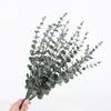 Hoja de Eucalipto Individual Transfronteriza al por Mayor Hojas de Dinero Adornos Decoración de Bodas Plantas Verdes Arreglo Floral Materiales Florales