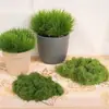 Césped Artificial de Musgo Paisajismo Biónico Micro-Paisaje Adornos de Diseño Césped Bonsái Maceta Decoración de Pavimentación Musgo Falso