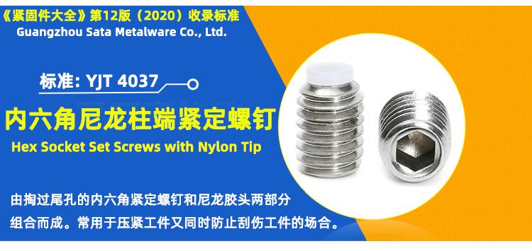 尼龙柱端紧定螺钉.jpg