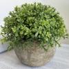 Plantas Simuladas Lágrimas de Bebé Bonsái Hogar Escandinavo Sala de Estar Estudio Adornos Cafetería Bar Bola de Césped Artificial Plantas en Maceta
