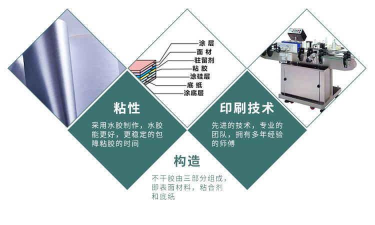 3176332391_424844536