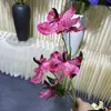 5 Flores Artificiales de Cattleya para Decoración de Bodas y Hoteles, Serie Morada, Arreglo Floral de Orquídea de Seda Táctil Real