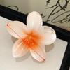 Europeu e Americano Transfronteiriço Amazon Cor de Doce Flor de Ovo Gradiente de Cor Pegador Feminino Colorido Grampo de Cabelo Pegador de Cabelo Grampo de Cabelo