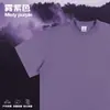 Comercio Electrónico Transfronterizo Primavera y Verano Diseño de Nicho Algodón Puro Manga Corta 2026 Nuevo Estilo Americano High Street Retro Top de Media Manga