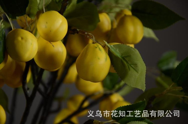 2-6黄色欧罗梨子.JPG