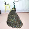 Nuevo Centro Comercial Peacock Adorno Creativo de Pie para Sala de Estar Espécimen Decoración para Jardín Exterior Accesorio de Fotografía